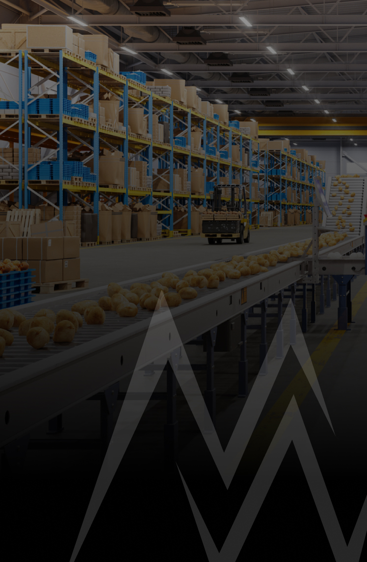 Food Processing
