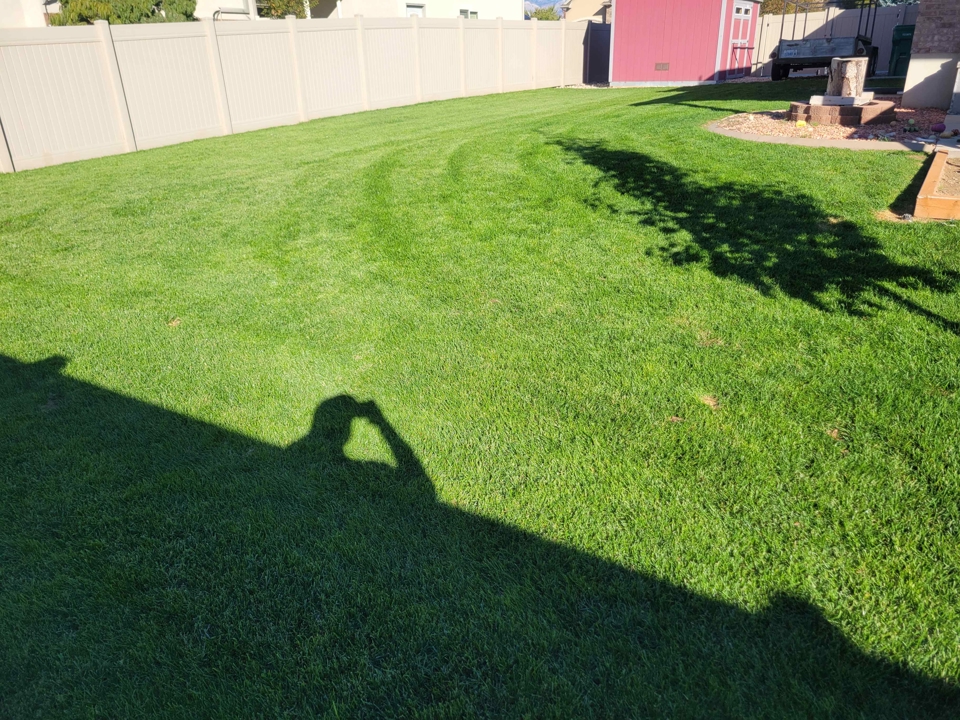 Before and After Drought Stress Before