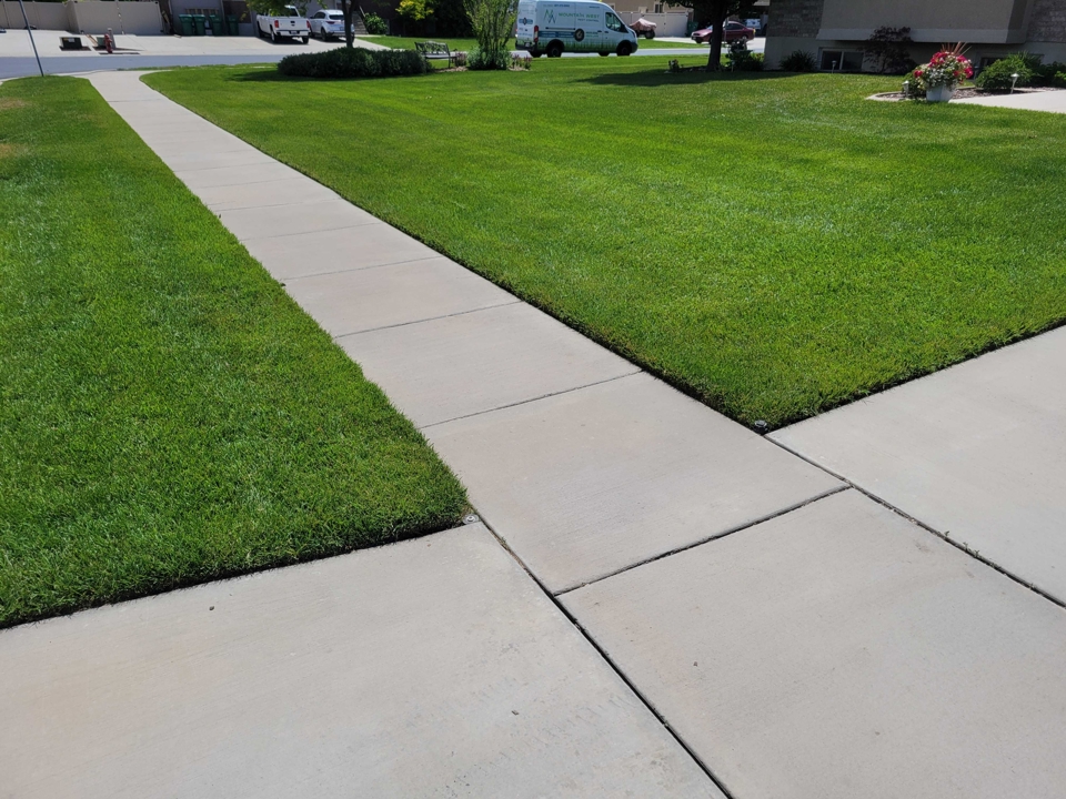 Before and After Residential Before