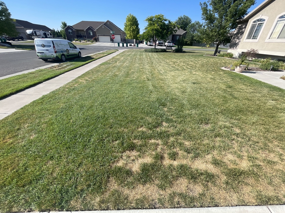 Before and After Residential Before
