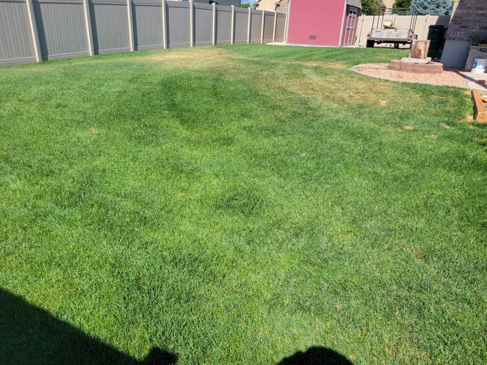 Before and After Drought Stress Before