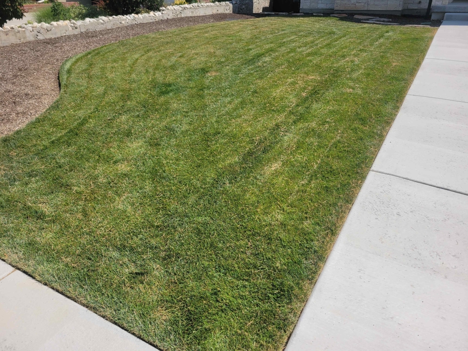 Before and After 2 Months Apart Before
