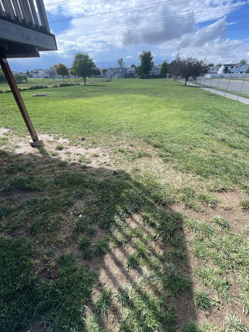 Before & After Lawn Care Before