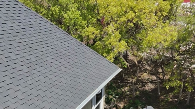 Raccoon Exclusion 1 Photo