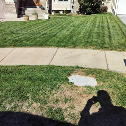 Before and After - Grubs 2 After