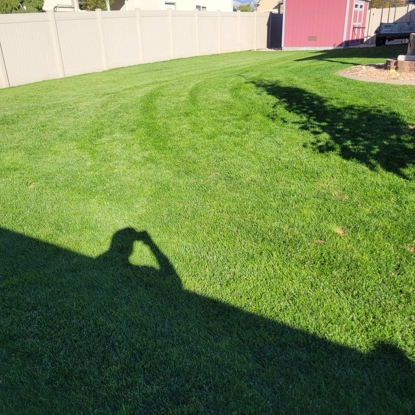 Before and After Drought Stress After