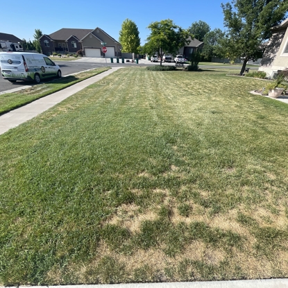 Before and After Residential Before