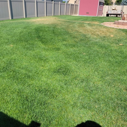 Before and After Drought Stress Before