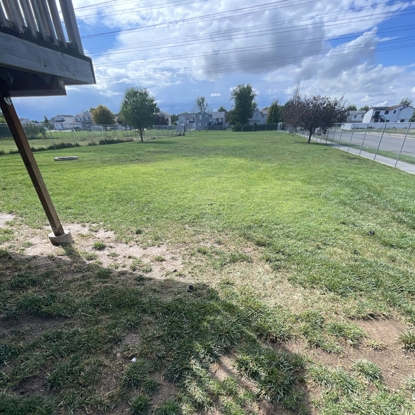 Before & After Lawn Care After
