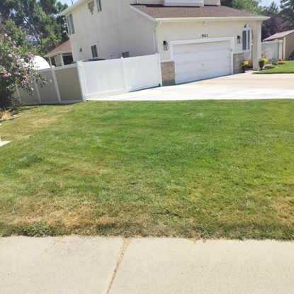 Before and After - Grubs 2 Before