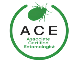ACE