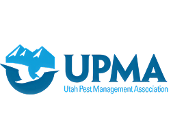 UPMA